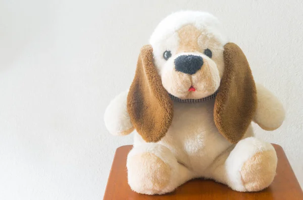 Schattige Kleine Hondenpop Zit Stoel Tegen Kamermuur Met Kopieerruimte Voor — Stockfoto