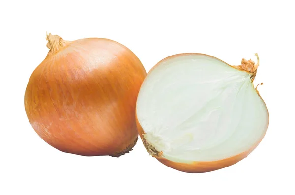 One Fresh Golden Onion Bulb Half Slice Isolated White Background — Stock fotografie