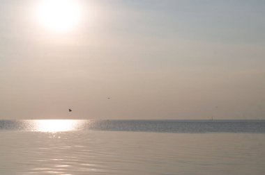 Marvelous sun is setting in sea water surface in the evening with flying seagulls in distance at Bangpu seaside in Samutprakarn, Thailand. Sky and sea water surface background texture