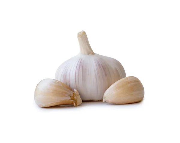 Single Fresh White Garlic Bulb Segments Isolated White Background Clipping — kuvapankkivalokuva