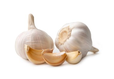 Single fresh white garlic bulb with segments is isolated on white background with clipping path, Thai herb is great for healing several severe diseases, heart attack, Hyperlipidemia or Dyslipidemia, close up photo