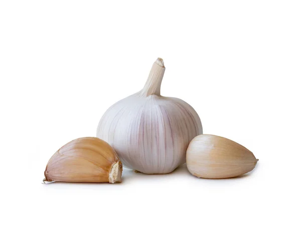 Single Fresh White Garlic Bulb Segments Isolated White Background Clipping — Foto de Stock
