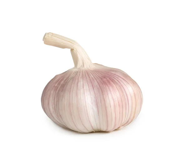 Single Fresh White Garlic Bulb Isolated White Background Clipping Path — Stock Photo, Image