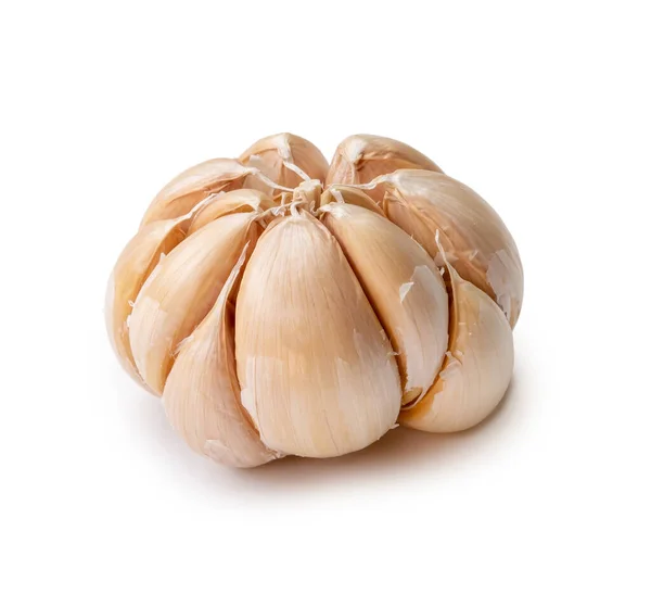 Single Fresh White Garlic Bulb Isolated White Background Clipping Path — Stock Photo, Image