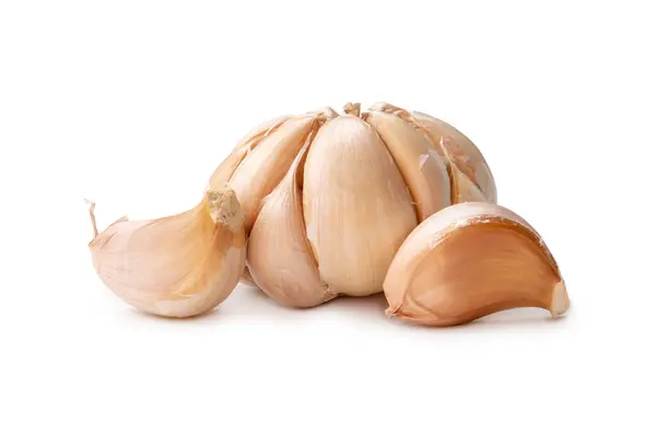 Single Fresh White Garlic Bulb Segments Isolated White Background Clipping — Stock Photo, Image