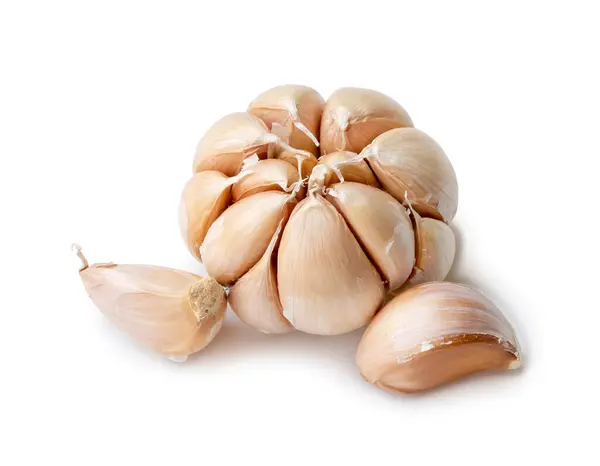 Single Fresh White Garlic Bulb Segments Isolated White Background Clipping — Stock Photo, Image