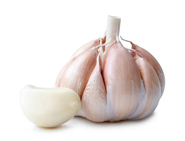 Single Fresh White Garlic Bulb Peeled Clove Isolated White Background — Stock Photo, Image