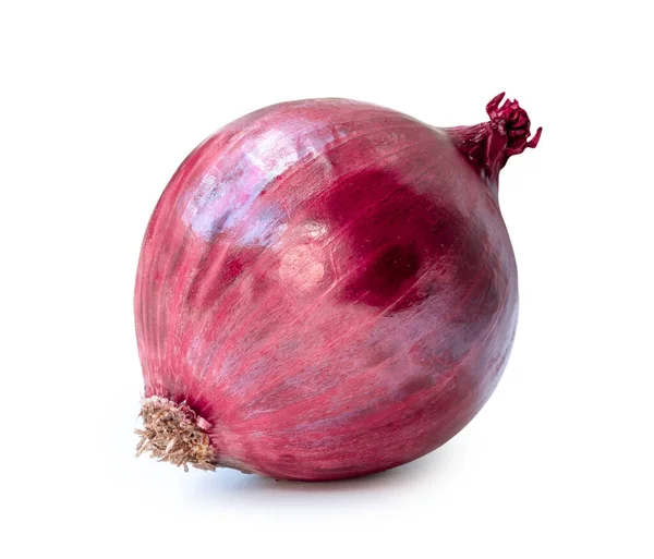 Frische Rote Zwiebelzwiebel Ist Auf Weißem Hintergrund Mit Clipping Pfad Stockbild