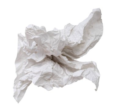 Tuvalet ya da tuvalette kullanıldıktan sonra tek vida ya da buruşmuş kağıt ya da peçete kesme yolu ile beyaz arka planda izole edilir..