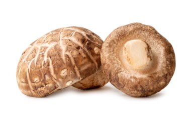 Taze ve kuru shiitake mantarları kırpma yolu ile beyaz arka planda izole edilir. Çin ve Japon bitkileri