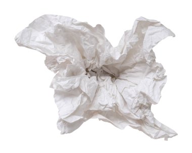 Tuvalet ya da tuvalette kullanıldıktan sonra tek vida ya da buruşmuş kağıt ya da peçete kesme yolu ile beyaz arka planda izole edilir.