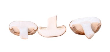 Shiitake mantar yarım ön görüş seti beyaz arka planda kırpma yolu ile izole edilir.