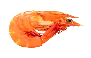 Tek kırmızı ya da portakallı karidesin yan görüntüsü kırpma yolu ile beyaz zemin üzerinde izole edilmiştir..
