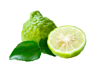Yeşil bergamot meyveleri veya yarım ve yeşil yapraklı kaffir limonu yan görünümü png dosya biçiminde kırpma yolu ile izole edilmiştir.