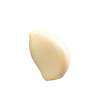 Soyulmuş sarımsak karanfilinin yan görünümü png dosya biçiminde kırpma yolu ile izole edilmiştir.