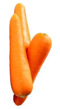 Yığındaki taze turuncu havuç kökleri yan görünümü png dosya biçiminde kırpma yolu ile izole edilmiştir.