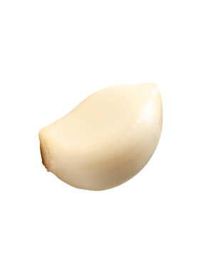 Soyulmuş sarımsak karanfilinin üst görünümü png dosya biçiminde kırpma yolu ile izole edilir.