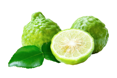 Yeşil bergamot meyveleri veya yarım ve yeşil yapraklı kaffir limonu ön görünümü png dosya biçiminde kırpma yolu ile izole edilir.
