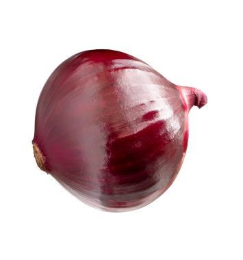 Büyük kırmızı veya mor soğan ampulünün üst görünümü png dosya biçiminde kırpma yolu ile izole edilir.
