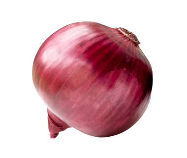 Büyük kırmızı veya mor soğan ampulünün üst görünümü png dosya biçiminde kırpma yolu ile izole edilir.