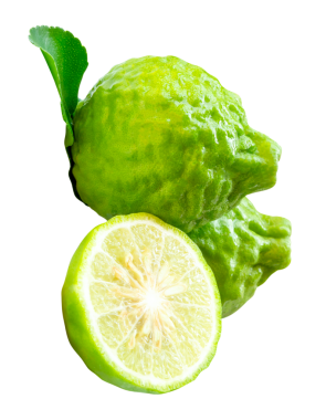 Yeşil bergamot meyveleri veya yarım ve yeşil yapraklı kaffir limonu yan görünümü png dosya biçiminde kırpma yolu ile izole edilmiştir.