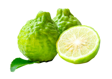 Yeşil bergamot meyveleri veya yarım ve yeşil yapraklı kaffir limonu ön görünümü png dosya biçiminde kırpma yolu ile izole edilir.