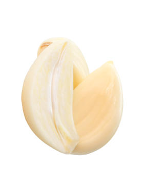 Dilimlenmiş veya yarısı yığın halinde soyulmuş sarımsak karanfillerinin üst görünümü png dosya biçiminde kırpma yolu ile izole edilir.