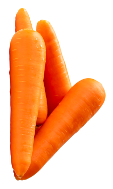 Yığındaki taze turuncu havuç üst görünümü png dosya biçiminde kırpma yolu ile izole edilir.