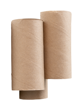 Üst görünüm doku kağıt çekirdekleri veya dikey olarak tuvalet kağıdı tüpleri png dosya biçiminde kırpma yolu ile izole edilir.