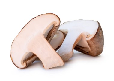 Shiitake mantarının yarıya bölünmüş ön görüntüsü kırpma yolu ile beyaz arkaplanda izole edilmiştir..
