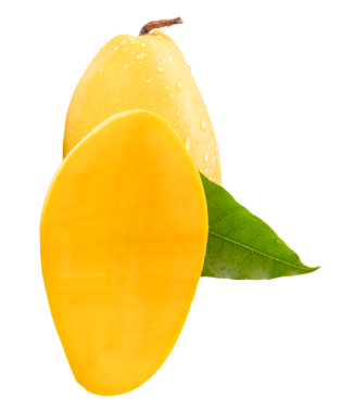 Yarım ve yeşil yapraklı tek olgun sarı mango meyvesi png dosya biçiminde kırpma yolu ile izole edilir.