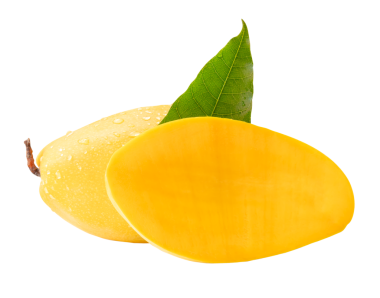 Yarım ve yeşil yapraklı tek olgun sarı mango meyvesi png dosya biçiminde kırpma yolu ile izole edilir.