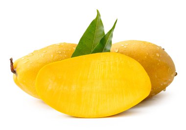 İki olgun sarı mango ve yarısı yeşil yapraklı ve su damlacıkları beyaz arka planda kırpma yolu ile izole edilir..