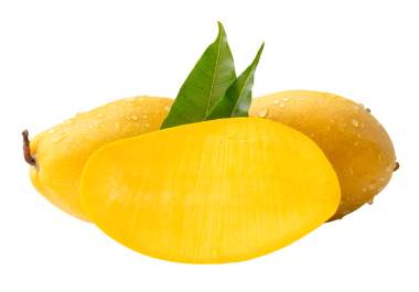 İki olgun sarı mango ve yarım yeşil yapraklı ve yığın halinde su damlacıkları png dosya biçiminde kırpma yolu ile izole edilir.