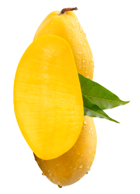 İki olgun sarı mango ve yarım yeşil yapraklı ve yığın halinde su damlacıkları png dosya biçiminde kırpma yolu ile izole edilir.