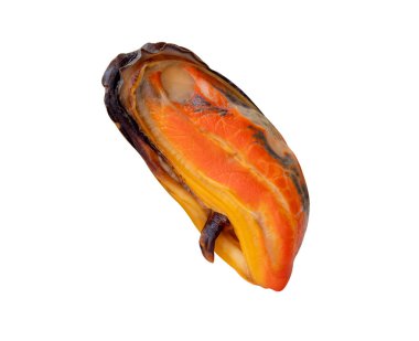 Kabuksuz kırmızı et içinde tek pişmiş yeşil midye yan görünümü kırpma yolu ile beyaz arka planda izole edilir.