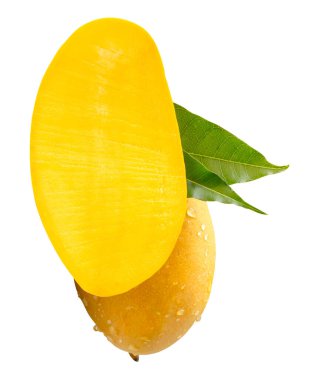 Tek olgun sarı mango meyvesi ve yarısı yeşil yapraklı ve su damlacıkları beyaz arka planda kırpma yolu ile izole edilir..