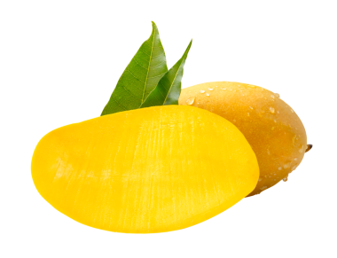 Tek olgun sarı mango meyvesi ve yarısı yeşil yapraklı ve su damlacıkları png dosya biçiminde kırpma yolu ile izole edilmiştir.