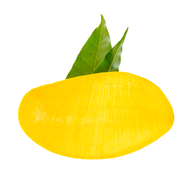 Yeşil yapraklı olgun sarı mango meyvesinin yarısı png dosya biçiminde kırpma yolu ile izole edilmiştir.