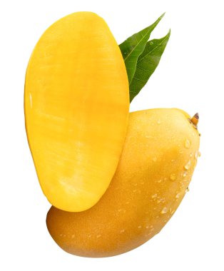 Tek olgun sarı mango meyvesi ve yarısı yeşil yapraklı ve su damlacıkları beyaz arka planda kırpma yolu ile izole edilir..