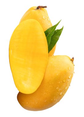 İki olgun sarı mango meyvesi ve yarısı yeşil yapraklı ve su damlacıkları beyaz arka planda kırpma yolu ile izole edilir..