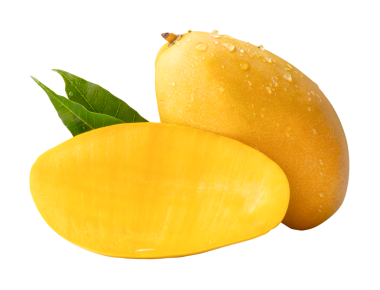 Tek olgun sarı mango meyvesi ve yarısı yeşil yapraklı ve su damlacıkları png dosya biçiminde kırpma yolu ile izole edilmiştir.
