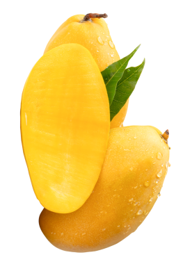 İki olgun sarı mango meyvesi ve yarısı yeşil yapraklı ve su damlacıkları png dosya biçiminde kırpma yolu ile izole edilir.