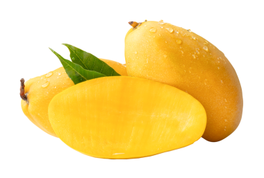 İki olgun sarı mango meyvesi ve yarısı yeşil yapraklı ve su damlacıkları png dosya biçiminde kırpma yolu ile izole edilir.