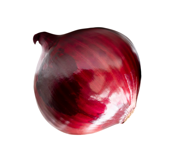 Kırmızı veya mor soğan ampulünün üst görünümü png dosya biçiminde kırpma yolu ile izole edilir.