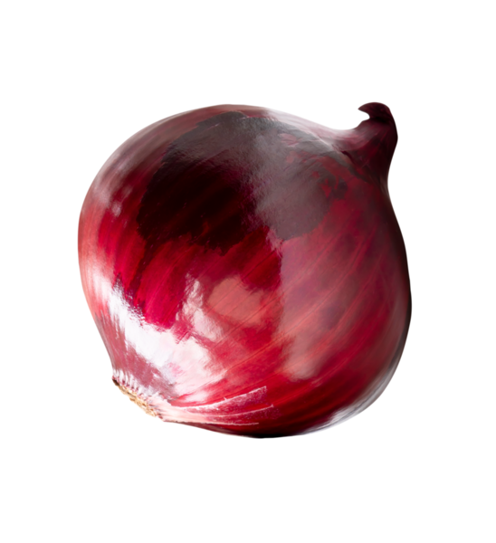 Kırmızı veya mor soğan ampulünün üst görünümü png dosya biçiminde kırpma yolu ile izole edilir.