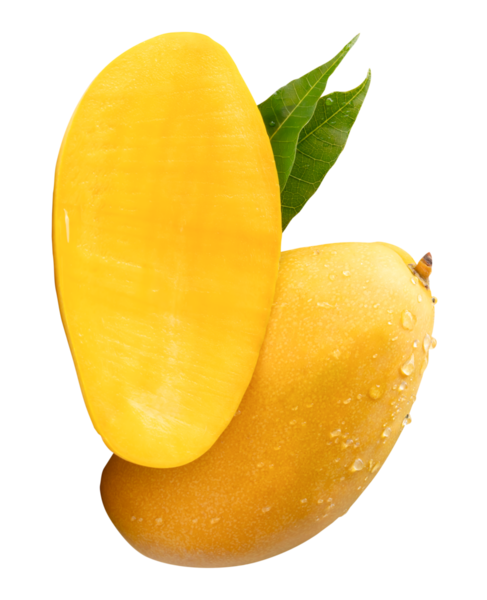 Tek olgun sarı mango meyvesi ve yarısı yeşil yapraklı ve su damlacıkları png dosya biçiminde kırpma yolu ile izole edilmiştir.