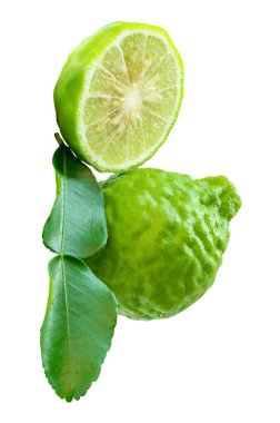 Yeşil bergamot meyveleri veya yarım ve yeşil yapraklı kaffir limonu beyaz arka planda kırpma yolu ile izole edilir.