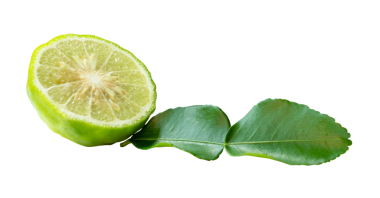 Yeşil bergamot meyveleri veya kaffir limonunun bir yarısındaki yeşil yapraklı kenar görünümü png dosya biçiminde kırpma yolu ile izole edilmiştir.