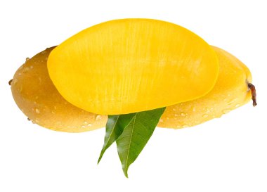 İki olgun sarı mango ve yarısı yeşil yapraklı ve su damlacıkları beyaz arka planda kırpma yolu ile izole edilir..
